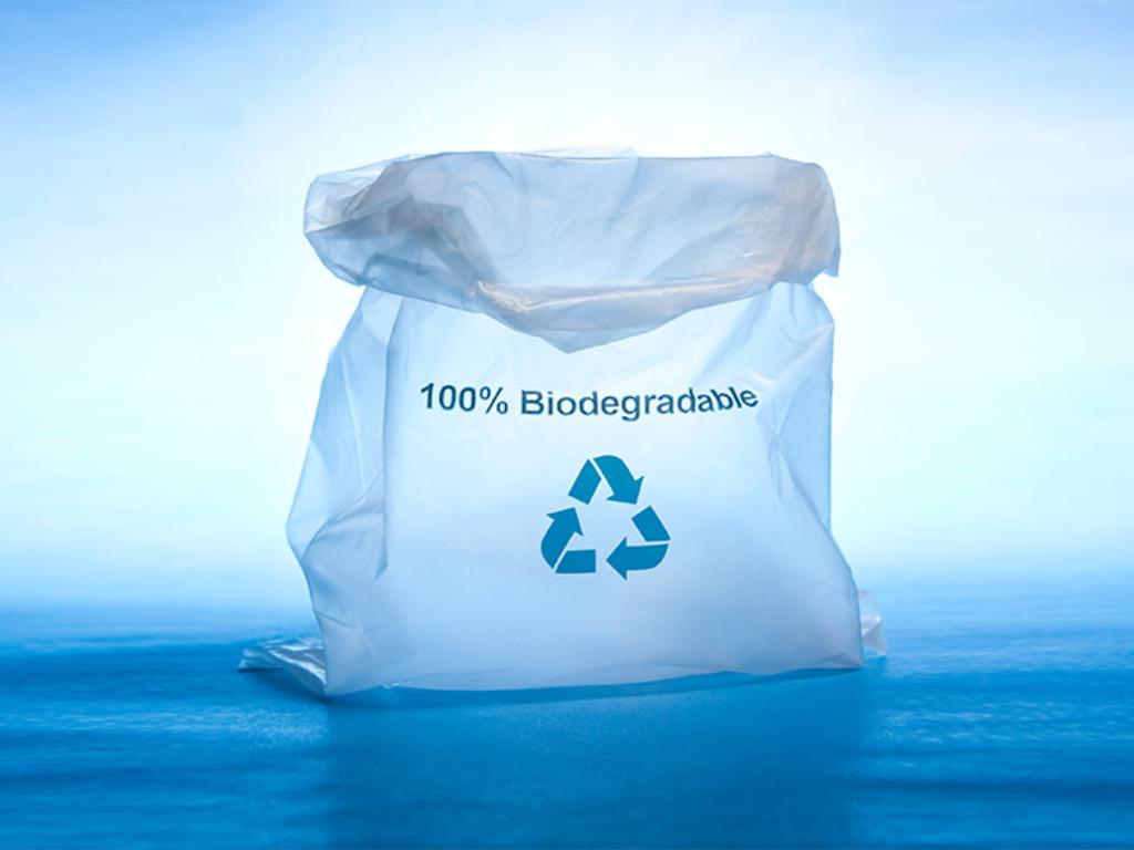 Biodegradability Testing